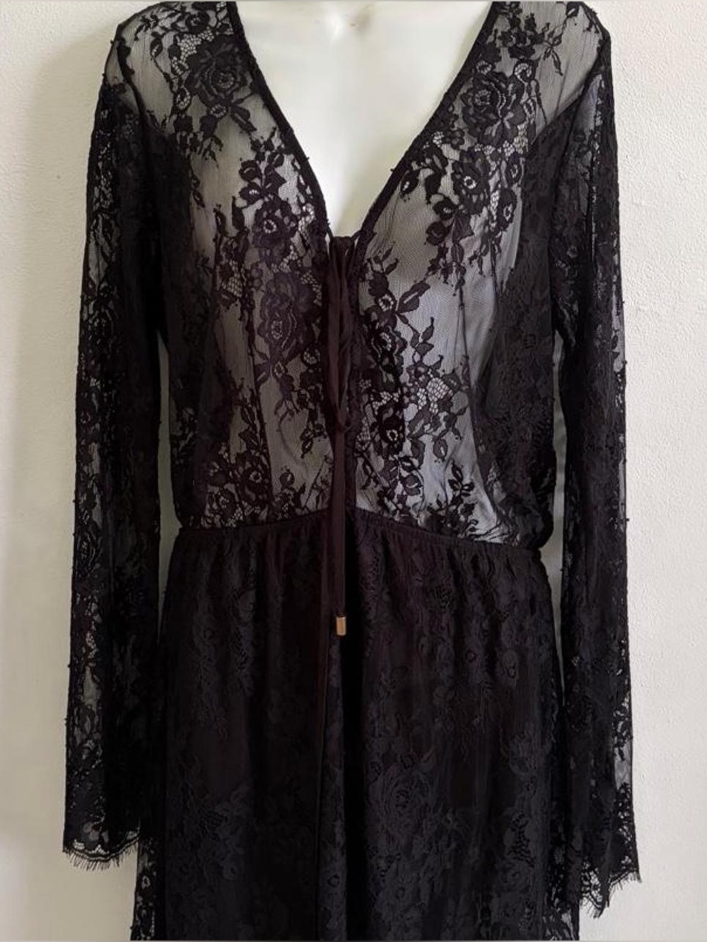 Whimsical Black Lace Long Sleeve Mini Dress